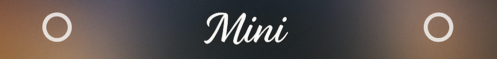 Mini